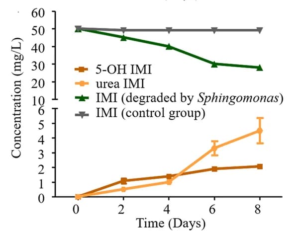 Open access visualization of Line Plot, Error Bars, Imidacloprid, Metabolite Concentrations, Incubation