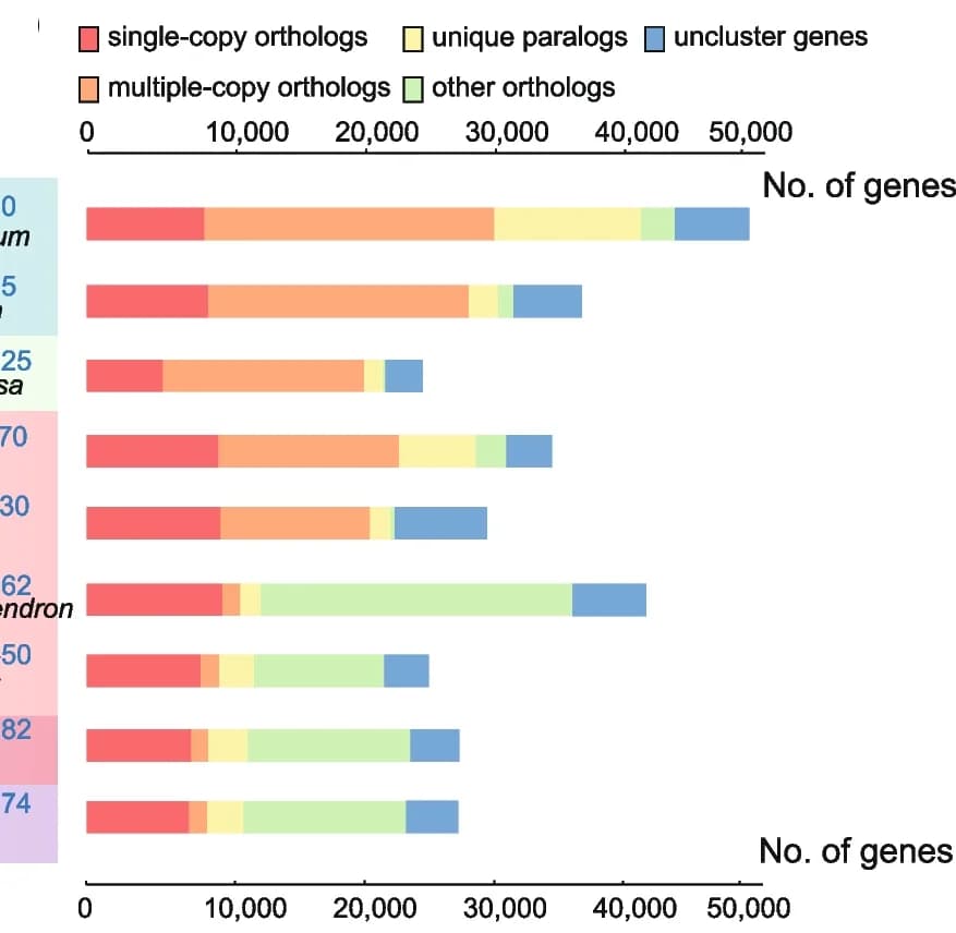 Open access visualization of Stacked Bar Plot, Gene Family, F. tataricum, F. esculentum, Genome