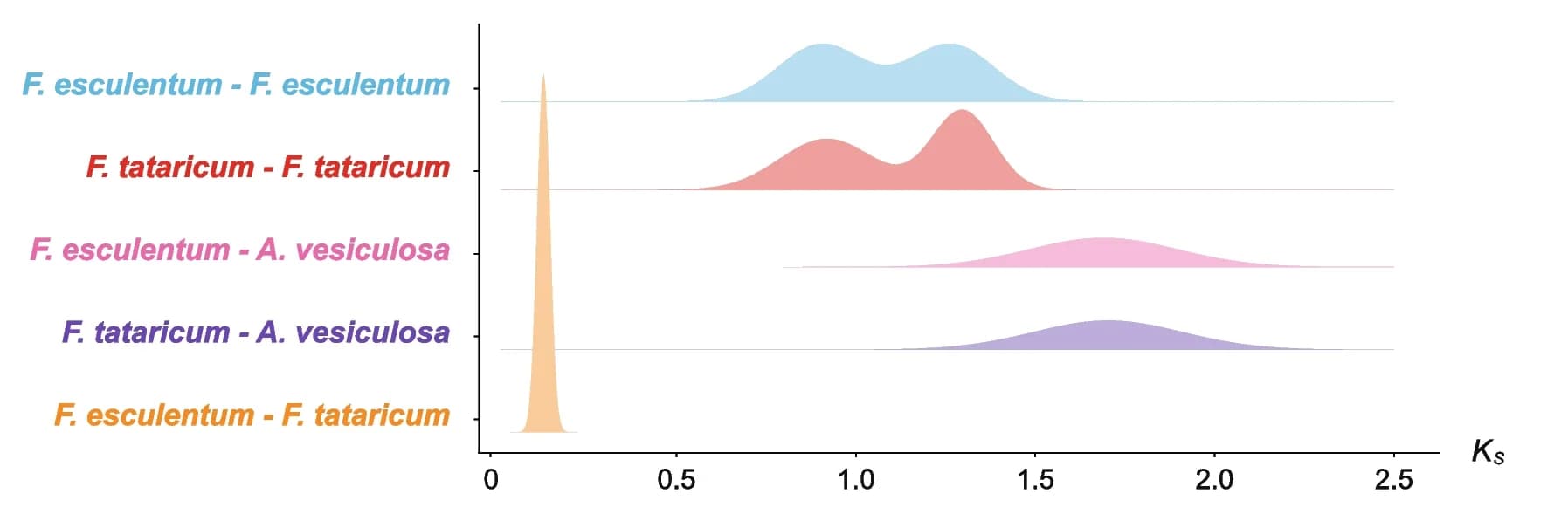 Open access visualization of Density Plot, Ridge Plot, Ks Values, WGD Events, F. tataricum