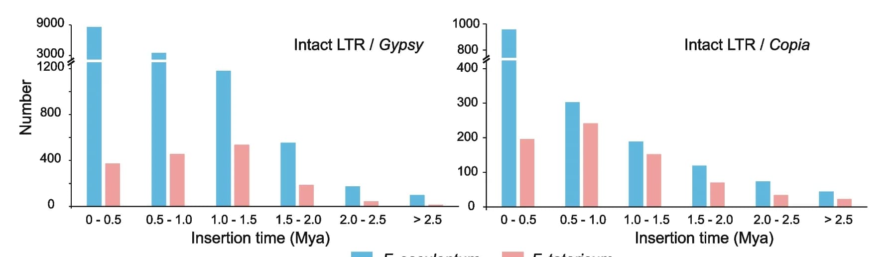 Open access visualization of Clustered, Bar Plot, LTR-RTs, F. tataricum, F. esculentum