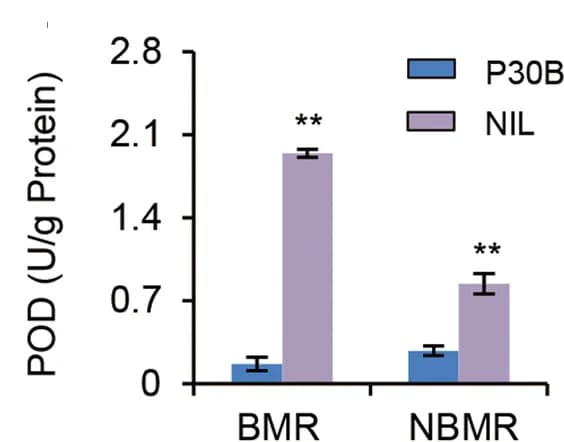 Open access visualization of Bar Plot, Error Bars, Clustered, POD Activity, Flowers