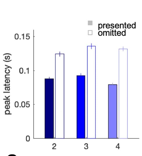 Open access visualization of Bar Plot, Error Bars, Clustered, Local Field Potential, Peak Amplitude