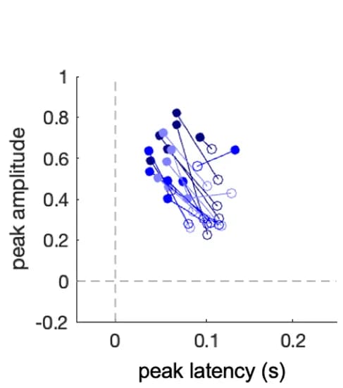 Open access visualization of Scatter Plot, Multiunit Activity, Peak Amplitude, Latency, Stimulus-Evoked Responses