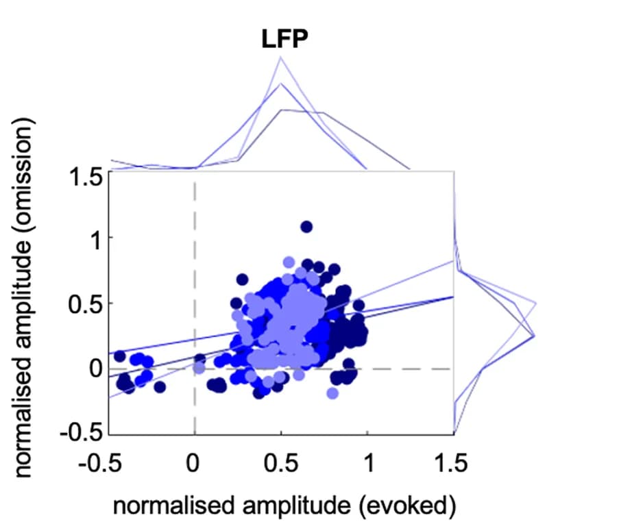 Open access visualization of Scatter Plot, Regression Plot, Density Plot, Line Plot, LFP Amplitude