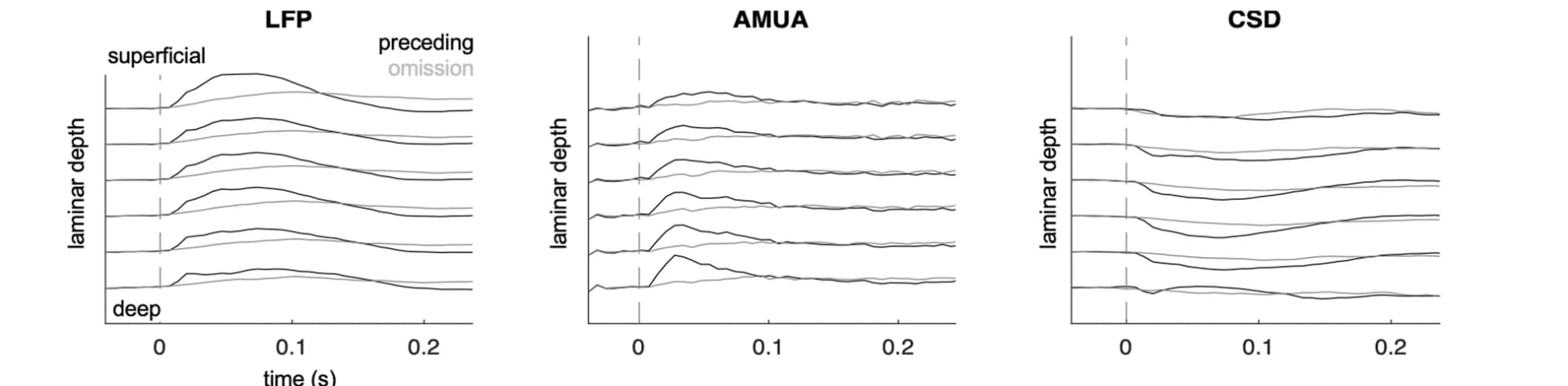 Open access visualization of Line Plot, LFP, AMUA, CSD, Electrode