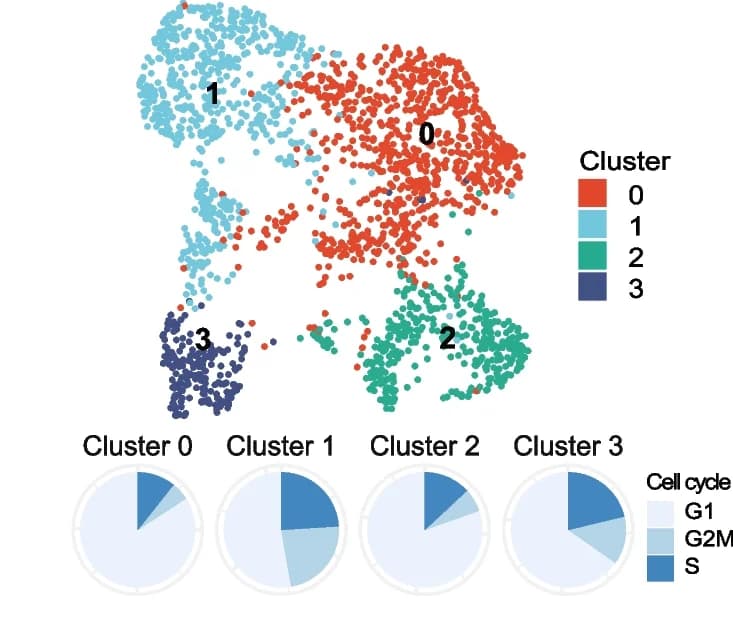 Open access visualization of Scatter Plot, Pie Chart, UMAP, NCH-OS-7 Cells, Subcutaneous Flank Tumor