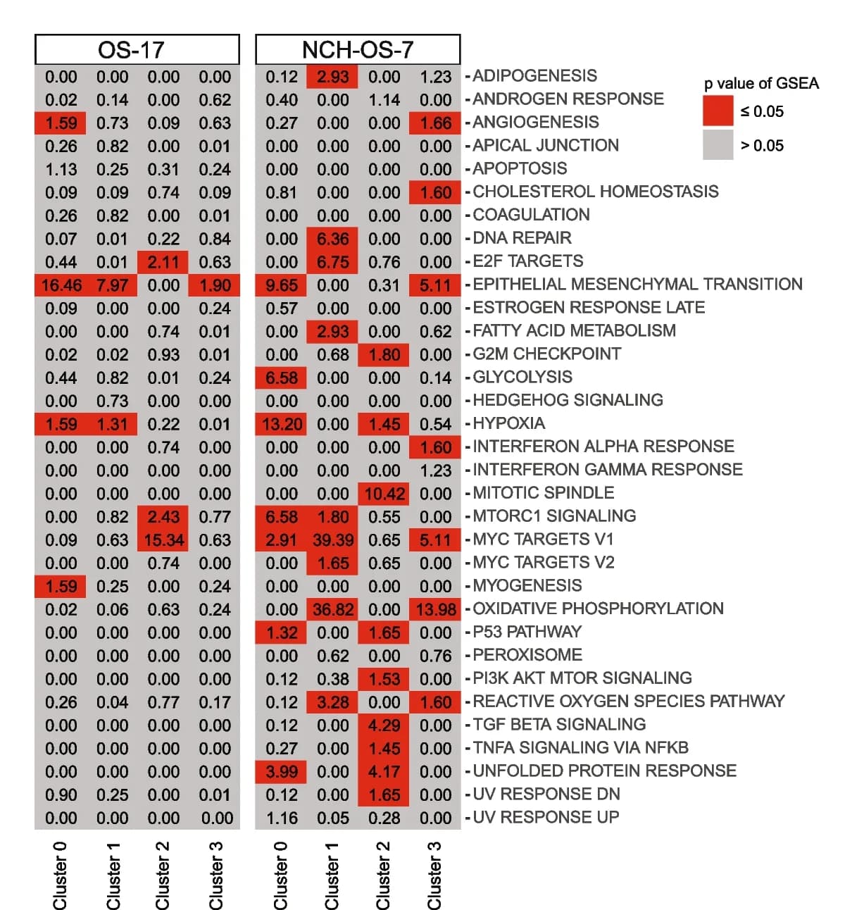 Open access visualization of Heatmap, Pathway Enrichment Analysis, Hallmark Gene Sets, Osteosarcoma Models, MTORC1