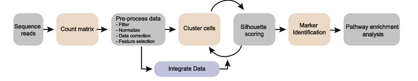 Open access visualization of Workflow, Flowchart, Illustration, scRNA-seq, Bioinformatics