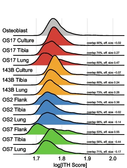 Open access visualization of Density Plot, Ridge Plot, Osteosarcoma Cells, Heterogeneity, ITH Scores