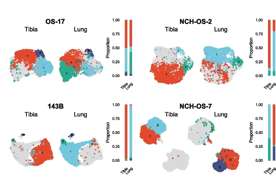 Open access visualization of Scatter Plot, Bar Plot, UMAP Analysis, Tumor Samples, Cluster Enrichment Analysis
