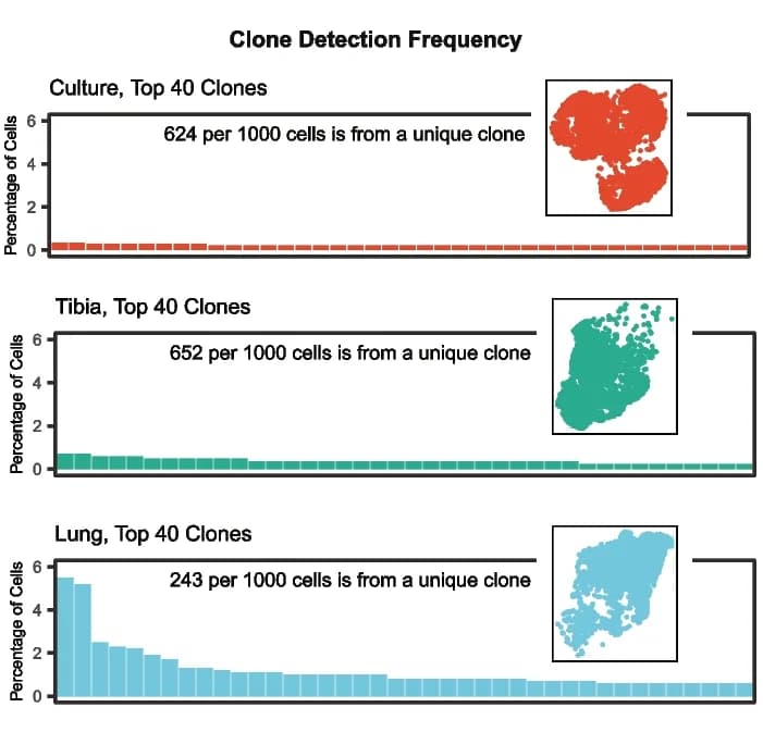 Open access visualization of Bar Plot, Scatter Plot, Frequency distribution, Clones, Tibia-colonizing tumors