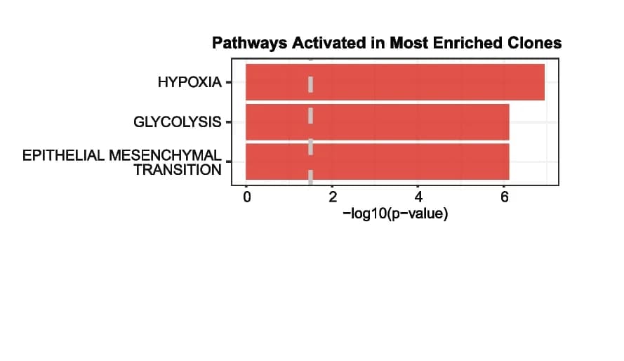 Open access visualization of Bar Plot, Pathway enrichment analysis, Gene sets, Clones, Lung-colonizing tumor cells