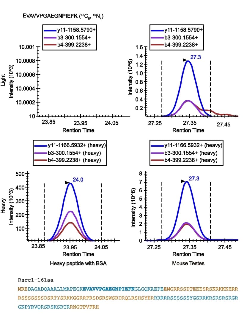 Open access visualization of Line Plot, Density Plot, LCMS/MS Analysis, Peptide Sequences, circRsrc1