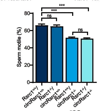 Open access visualization of Bar Plot, Error Bars, Sperm Motile, Knockout Mice, Wild-Type Mice