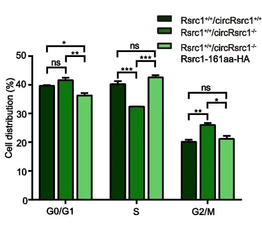 Open access visualization of Bar Plot, Error Bars, Clustered, Rsrc1-161aa, Cell Cycle Progression