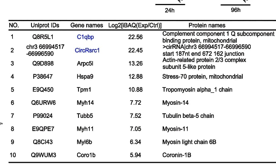 Open access visualization of Table Image, Rsrc1-161aa, Mass Spectrometry, Immunoprecipitation, GFP Antibodies