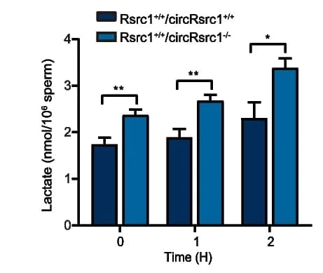 Open access visualization of Bar Plot, Error Bars, Clustered, Lactate levels, Sperm extracts