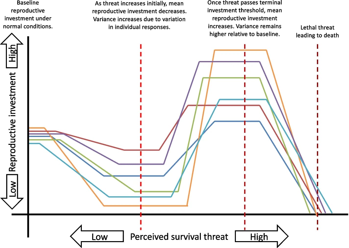 Open access visualization of Line Plot, Line Step, Terminal Investment, Survival Threat, Reproductive Investment