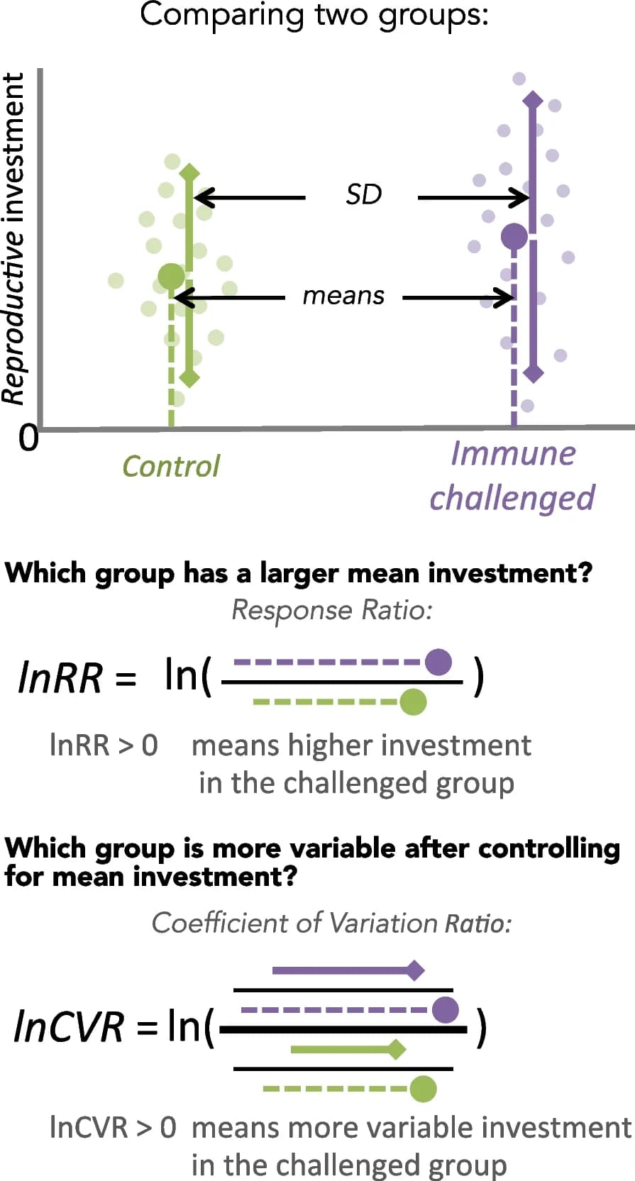 Open access visualization of Scatter Plot, Error Bars, Study Result, Dot Plot, Mean