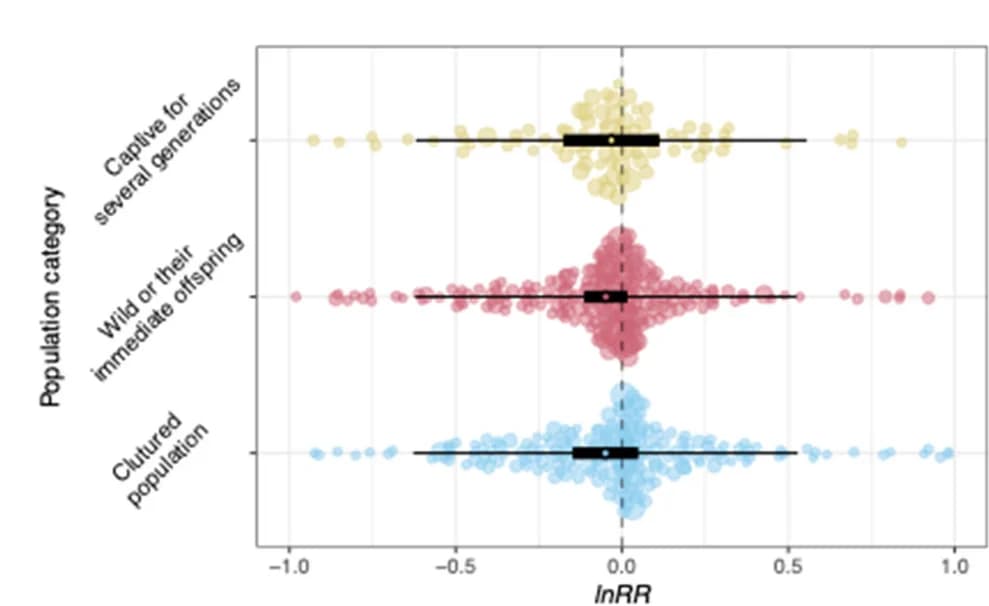 Open access visualization of Violin Plot, Box Plot, Scatter Plot, Orchard Plots, Categorical Moderator Effects