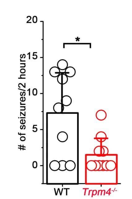 Open access visualization of Bar Plot, Scatter Plot, Error Bars, Seizures, Seizure Duration