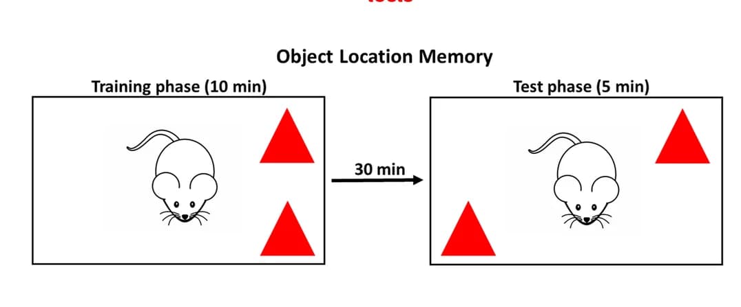 Open access visualization of Workflow, Illustration, OLM test, Schematic, Timeline