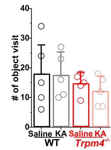 Open access visualization of Bar Plot, Error Bars, Object visit, WT mice, Trpm4 -/- mice