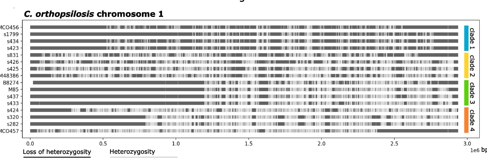 Open access visualization of Bar Plot, Loss of Heterozygosity, Heterozygosity, Chromosome 1, C. Orthopsilosis