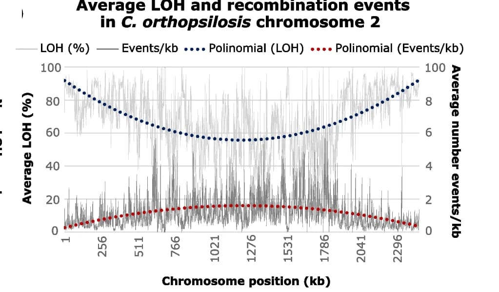 Open access visualization of Line Plot, Scatter Plot, LOH, Recombination events, C. orthopsilosis