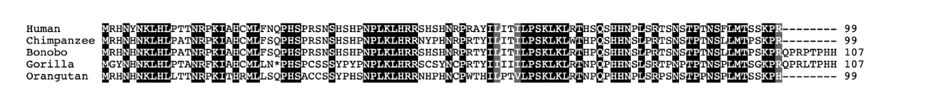 Open access visualization of Illustration, Table Image, Peptide sequence alignment, Primate species, Conserved residues