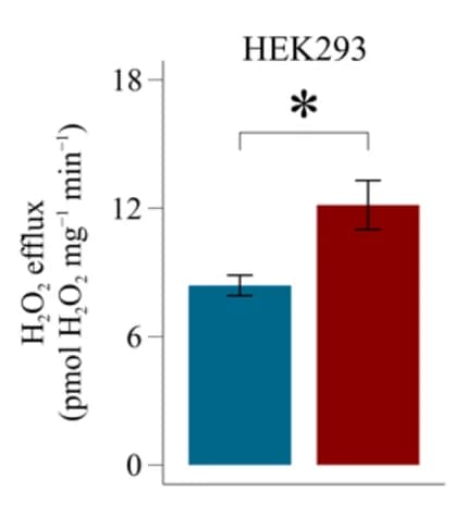 Open access visualization of Bar Plot, Error Bars, Hydrogen Peroxide Efflux, HEK-293 T Cells, MTALTND4