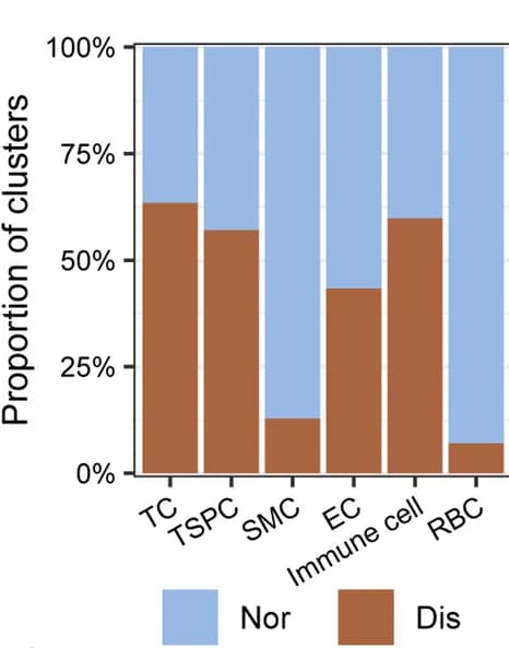 Open access visualization of Stacked Bar Plot, Cell Classes, Normal Tendons, Diseased Tendons