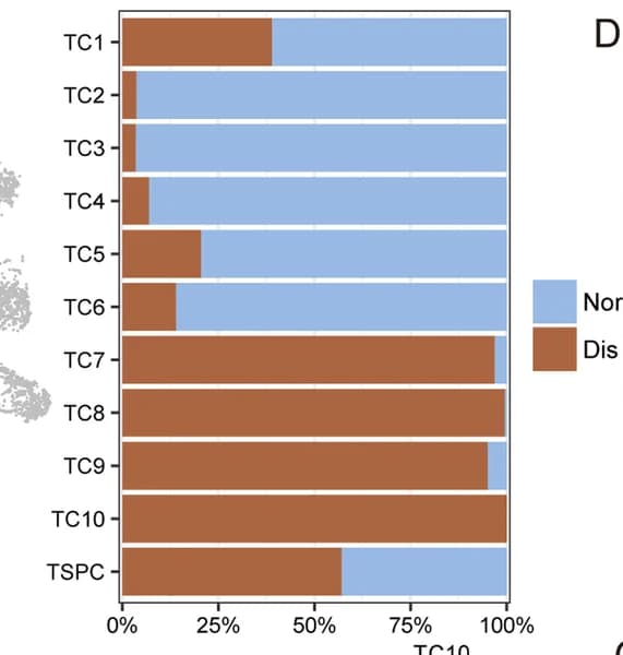 Open access visualization of Bar Plot, Stacked Bar Plot, Tenocyte subpopulations, TSPC, Normal tendons