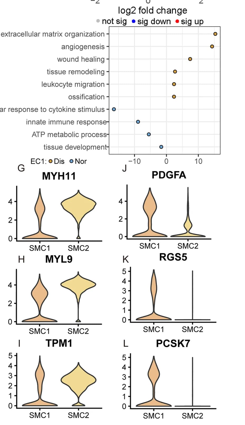 Open access visualization of Volcano Plot, Violin Plot, GO Enrichment Analysis, DEGs, EC1