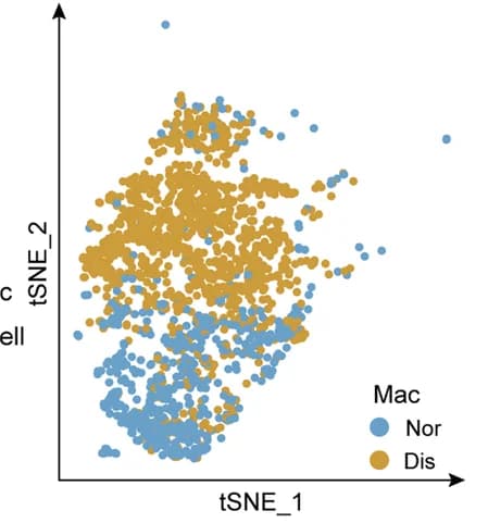 Open access visualization of Scatter Plot, UMAP, PCA, T-SNE, Macrophages