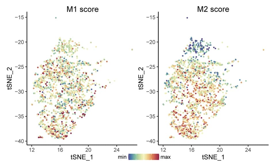Open access visualization of Scatter Plot, UMAP, T-SNE, M1 Score, M2 Score