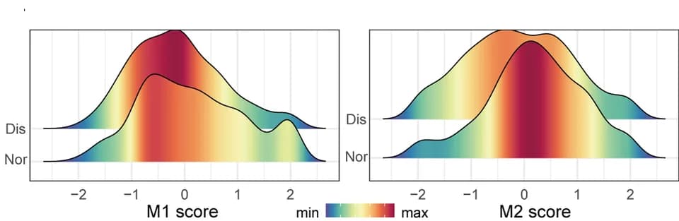 Open access visualization of Density Plot, Line Plot, M1 Score, M2 Score, Macrophages
