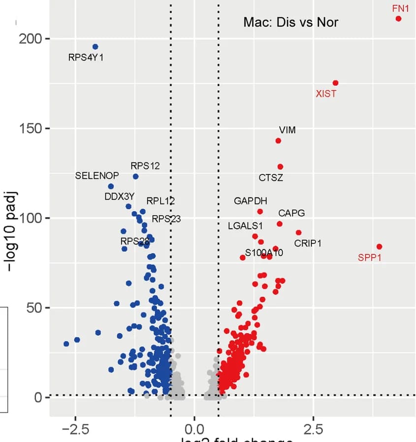 Open access visualization of Volcano Plot, Scatter Plot, Volcano Plots, DEGs, Macrophages