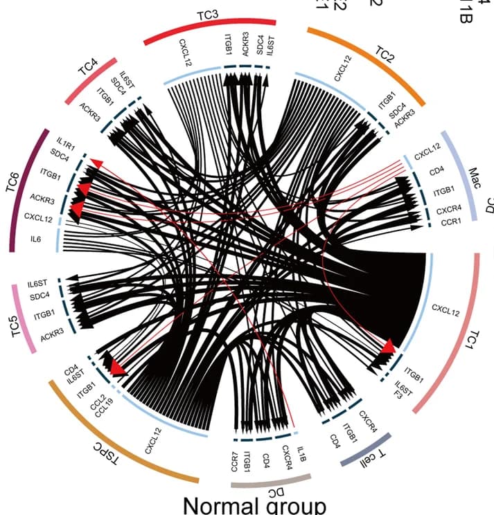 Open access visualization of Chord, Circo Plot, Cytokines, Chemokines, Immune Cells