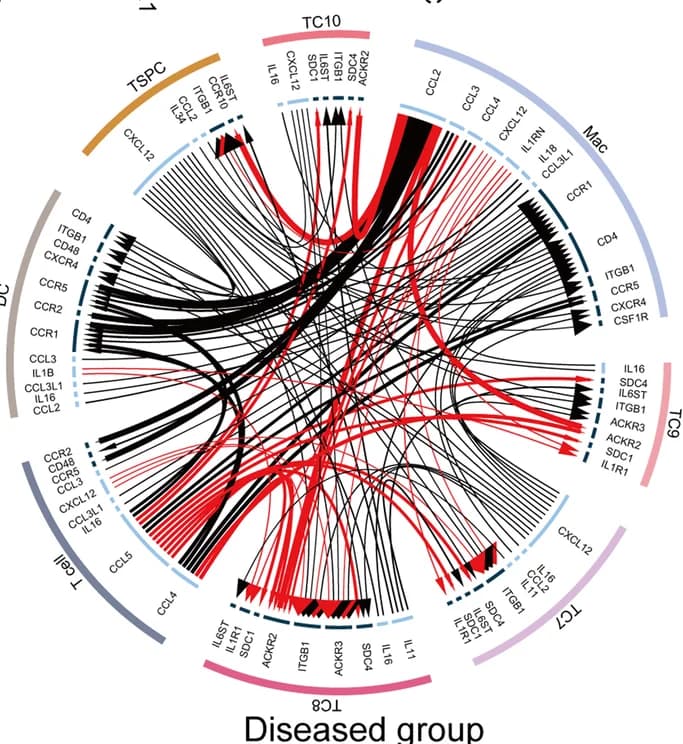 Open access visualization of Chord, Network, Circo Plot, Cytokines, Chemokines