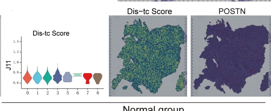 Open access visualization of Violin Plot, Geo Map, Dis-TC Score, Normal Group, Spatial Heatmaps