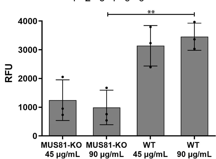 Open access visualization of Bar Plot, Error Bars, Reaction Products, Relative Fluorescence Units, Fluorescence Intensity