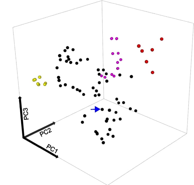 Open access visualization of 3D Plot, Sequence Space, SA8 Family, Actiniarian Species, Superfamilies