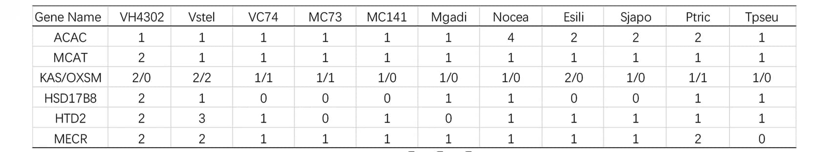 Open access visualization of Table Image, Gene copies, Mitochondrial FAS genes, Species