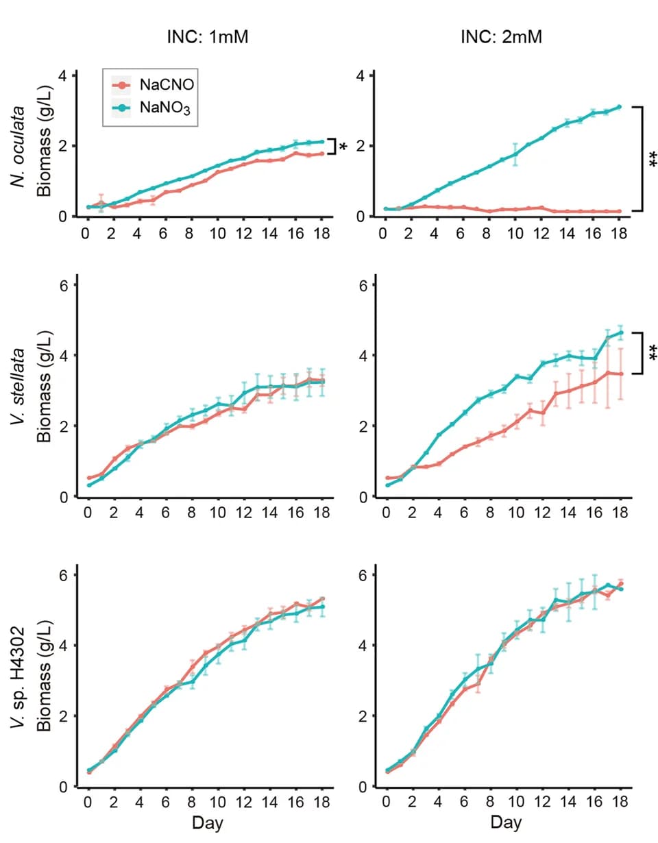 Open access visualization of Line Plot, Error Bars, Biomass Accumulation, Nitrogen Source, Nitrogen Concentration