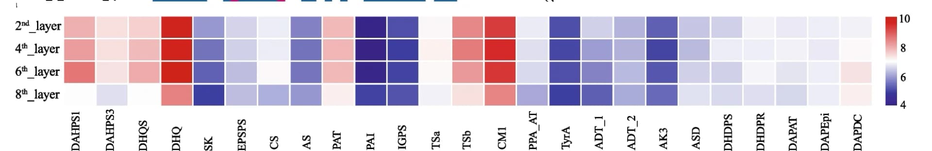 Open access visualization of Heatmap, Gene Expression, Amino Acid Biosynthesis, Flower Buds, S. Himalayana