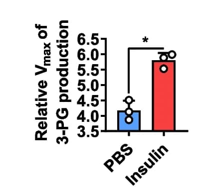 Open access visualization of Bar Plot, Error Bars, Insulin, PGK1 Glycolytic Activity, Vmax