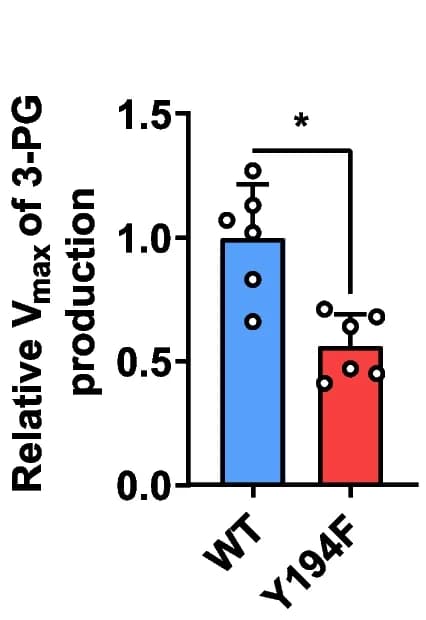 Open access visualization of Bar Plot, Error Bars, PGK1, Glycolysis, Phosphorylation