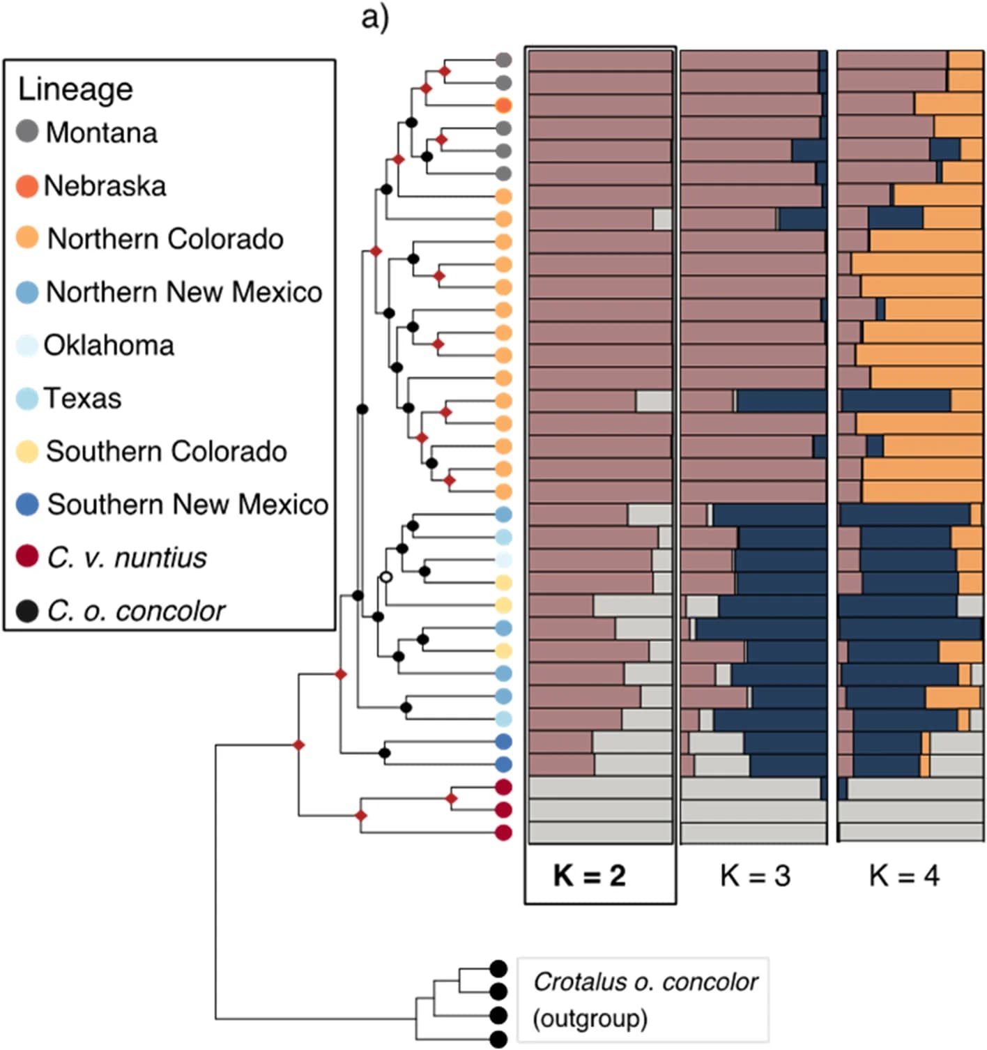 Open access visualization of Stacked Bar Plot, Network, Mosaic Plots, STRUCTURE Results, Nuclear Dataset