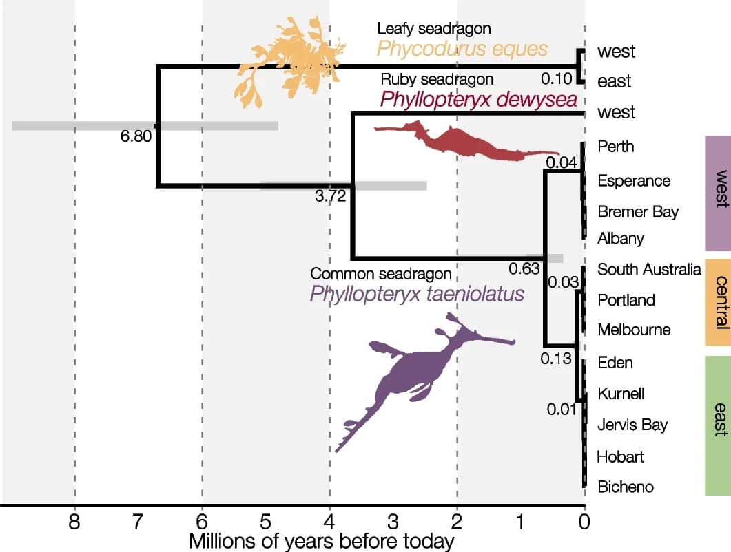 Open access visualization of Network, Pathway, Species Tree, Mitochondrial DNA, Phylogenetic Analysis